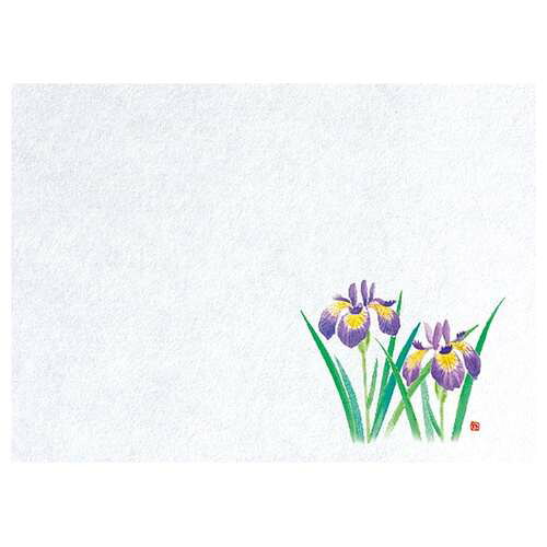 遠赤保鮮紙(小)菖蒲 (100枚入)/業務用/新品/小物送料対象商品