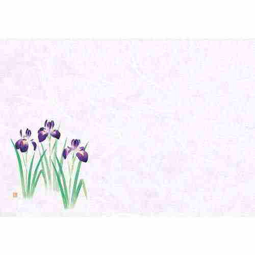 尺1お手元まっと 四季 菖蒲 (100枚入)/業務用/新品/小物送料対象商品