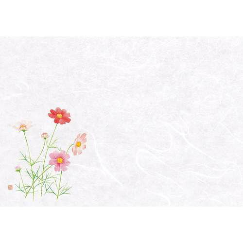 尺1お手元まっと 四季 こすもす (100枚入)/業務用/新品/小物送料対象商品