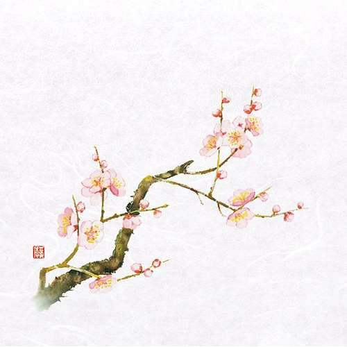 4寸OP懐石敷紙 梅 (100枚入)/業務用/新品/小物送料対象商品