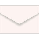 メッセージカード袋 サクラ/20枚×5冊入/業務用/新品/小物送料対象商品