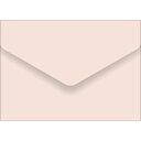メッセージカード袋 ピーチ/20枚×5冊入/業務用/新品/小物送料対象商品