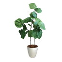 人工観葉植物 ウンベラータ Lサイズ/プロ用/新品/送料無料