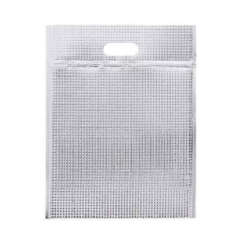 保冷平袋(ジップ付き) L 10枚/業務用/新品/小物送料対象商品