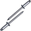 エビ ブラインドリベット(ステンレス/ステンレス製) 5-5(25本入) エコパック/業務用/新品/小物送料対象商品(4)