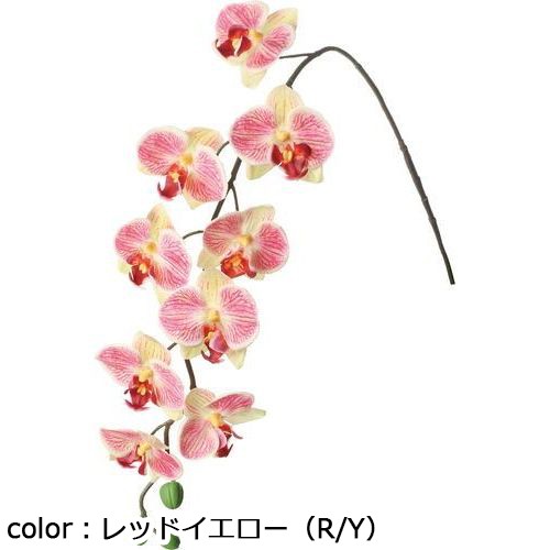 ポピー フローレンスコチョウラン FA-7409 全長78cm・花径6.8〜7.5cm/業務用/新品/小物送料対象商品 2