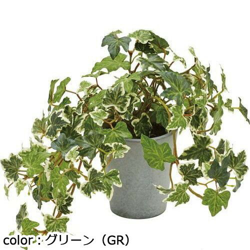 |s[ CObVACr[|bg GLA-1527 S25cm F9.3cm~H10.2cm/Ɩp/Vi/Ώۏi