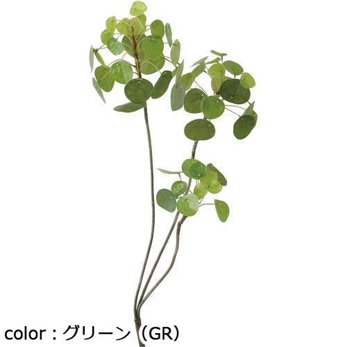 ポピー ピレアペペロミオイデスブランチ GL-5260 全長60cm・葉径3～5.5cm・幅25cm/業務用/新品/小物送料対象商品