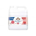キレイキレイ薬用泡ハンドソープ フルーツミックス/本/4L/業務用/新品/小物送料対象商品(4)