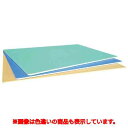 カラー取り板 TCSK8-6040 600×400×8 B(ブルー)/業務用/新品/小物送料対象商品