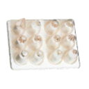 PLS 口金セット 12pcs 116001/業務用/新品/テンポス