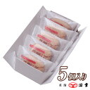 御手づくり開運小判 5コ入(2902)【最中 もなか 高知 ギフト お取り寄せ お土産 お菓子 プレゼント おみやげ お歳暮 お年賀 内祝 景品】