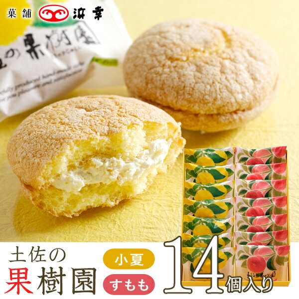 【期間限定】神戸ぶっせ（ 濃い抹茶）10個入お菓子 焼き菓子 洋菓子 ギフト プチギフト 贈り物 手土産 神戸風月堂 御中元 お歳暮 お年賀 引き出物 母の日 敬老の日 お祝い お供え お見舞い 個包装 ブッセ