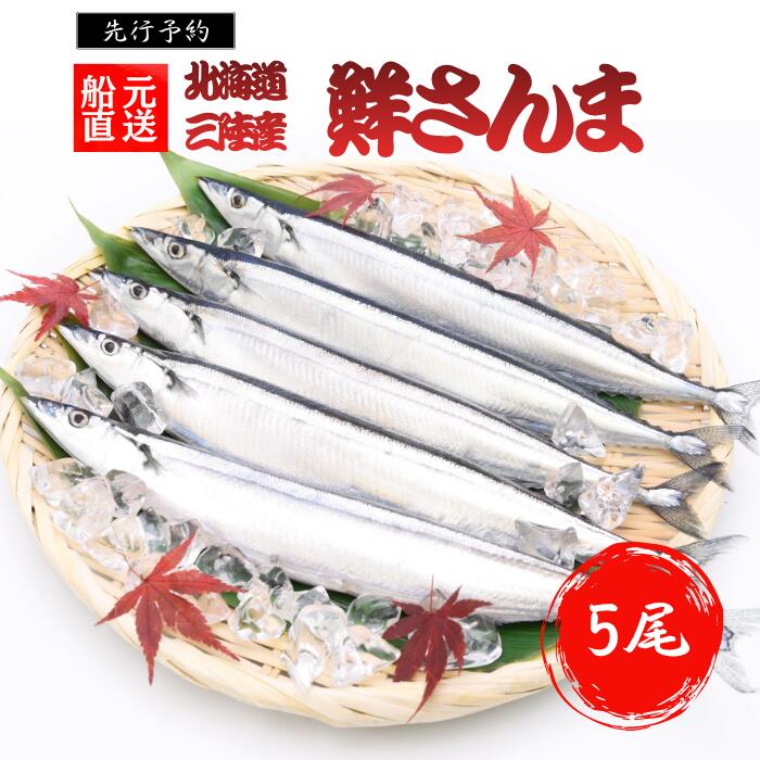 【2026新物】先行予約 生さんま 5尾入 北海道産 刺身用 鮮魚 お届け9月中頃～