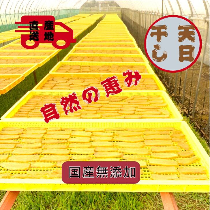 紅ハルカ 平干しバラ詰め 3000g 茨城県産...の紹介画像3