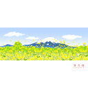 濱文様　絵てぬぐい　富士山と菜の花春景色