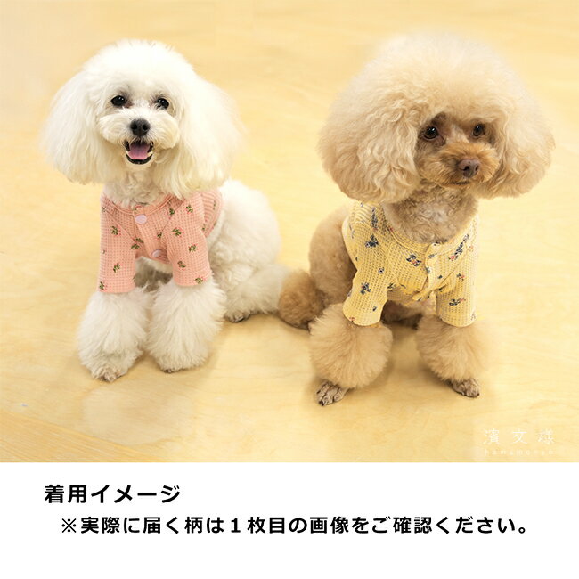 濱文様　わんにゃんワッフルウェアM　ファンシーフラワー　ピンク