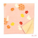 濱文様 和たおるセミウォッシュ 豆うさぎの紅葉あそび