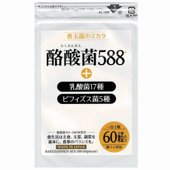 酪酸菌588 60粒x2袋 酪酸菌 乳酸菌 ビフィズス菌 善玉菌 オリゴ糖 短鎖脂肪酸 アミノ酸 酪酸 腸活 【ゆうパケット送料込】