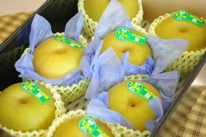 新潟県 幸水梨の通販 糖度13度以上。一糖賞・糖鮮確実・梨の実館 中箱 約7玉〜約9玉