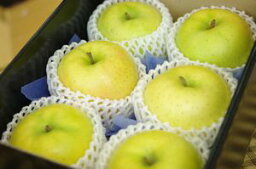 トキりんご通販 奇跡の出会いで誕生した青りんごを販売取寄。小箱 約5玉〜約6玉 青森・長野・他産地