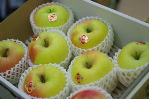 りんご ぐんま名月りんご通信販売 お歳暮林檎に。隠れた銘品種りんごを販売取寄。中箱 約7玉〜約9玉 群馬・長野・他産地