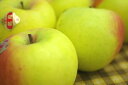 ぐんま名月りんご取寄販売 お歳暮林檎に 隠れた銘品種りんごを通販で 約5kg 約14玉〜約18玉 群馬・長野・他産地