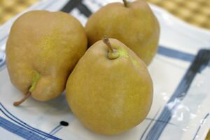 西洋梨メロウリッチ通販 山形県最高糖度の西洋梨を販売取寄。小箱　約5玉〜約6玉