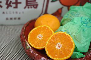 味好鳥みかん（あじこうちょう）通販 お歳暮長崎県諫早産蜜柑　袋入 約3kg hamanaka-10004869 果物百貨店 浜中屋 サンプル画像2