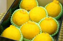熊本デコポン通信販売 糖度約13度の不知火(しらぬい)を販売取寄。中箱 約7玉~約9玉 熊本産
