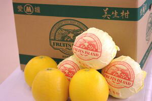 愛媛美生柑(みしょうかん)通信販売 和製グレープと呼ばれる河内晩柑を販売取寄。約7kg 約12〜約22玉 愛媛県産