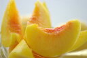 黄桃お取り寄せ販売。通販で黄金桃・他品種の黄色いモモを取寄。フルーツギフトに 約5k 約13玉〜約18玉 山形・他産地 2