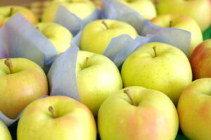 トキりんご取寄販売 奇跡の出会いで誕生した青りんごを通販で。約5kg 約14玉〜約18玉 青森・長野・他産地