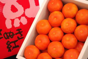 小原紅早生ハウスみかん（さぬき紅みかん)　約2・5kg　S〜L 【香川産】果皮がオレンジ色系！人気のミカンが夏に復活です。7月配送