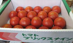 ブリックスナイントマト販売 フルーツとまと通販 糖度9度以上！約15個〜約20個 群馬県産のサムネイル