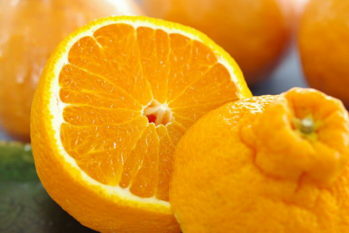 �ڽ�301�ǥ��ݥ����� ����Υǥ��ݥ�����ΤǼ��󤻡���3kg ��12��15��