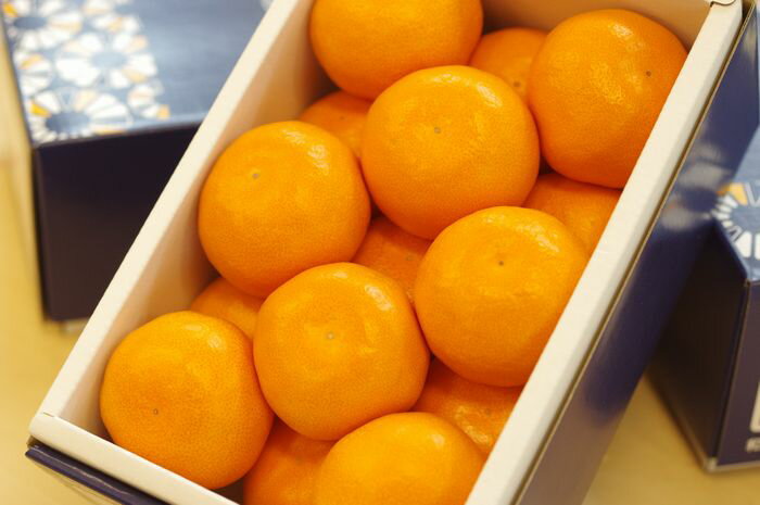 味一みかん「極み」糖度15度以上 化粧箱 約12玉～約15玉 和歌山県 2