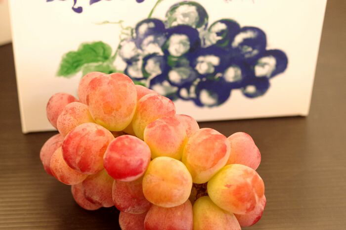 バイオレットキングぶどう　1房 約550g　山梨・他産地のサムネイル