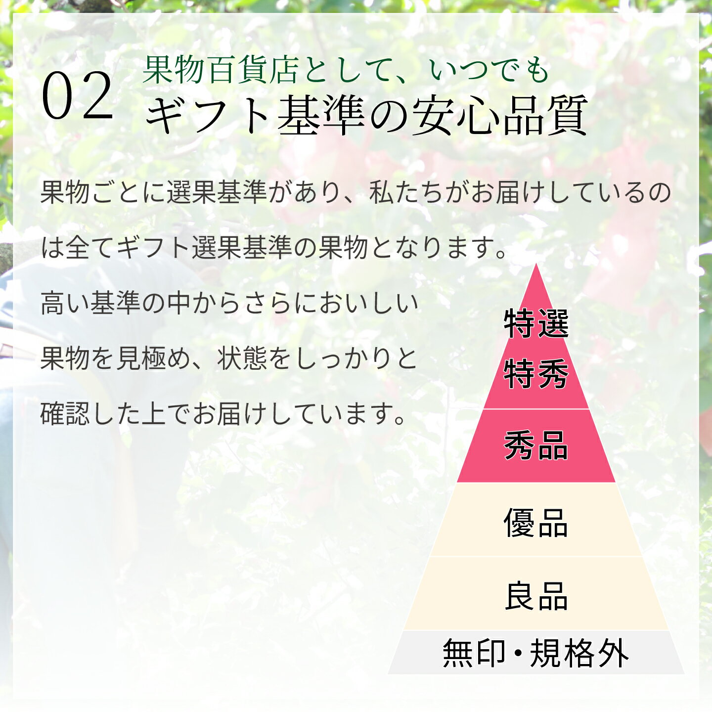 ��ʥԥ��ʤ��������� ���Τǹ��θ��ں�����Luna Piena�����Τ����� ��ܤ�Ω�β������� 2��