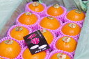 紅姫ものがたり通販 温室栽培の糖度約13度の柑橘を販売取寄。約2.5kg(8〜15玉入) 佐賀県産