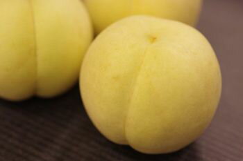 冬桃がたり通販 岡山の桃！お歳暮ギフト販売 11月下旬頃から 化粧箱 約5玉～約8玉