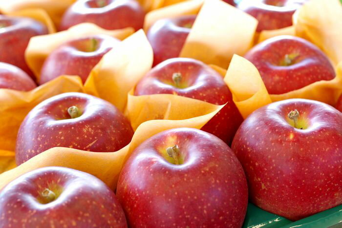 りんご 紅いわてりんご取寄販売 岩手県オリジナルの紅りんごを通販で。約5kg 約14玉〜約18玉 岩手県産
