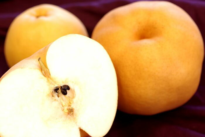 とよたの梨 愛宕梨 あたご梨通信販売 お歳暮に大きい和梨を販売 2玉で約2.5kg 愛知県