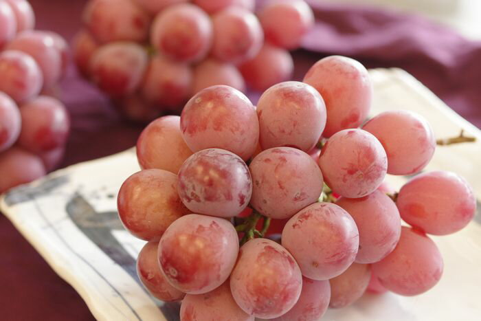 クイーンニーナ葡萄通販 大粒で種が無く高糖度な...の紹介画像3