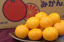 田村みかん通販 和歌山有田みかん販売。田村出荷組合をお歳暮蜜柑に 5kg S〜L