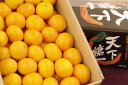 天下糖一みかん てんかとういつ蜜柑JAとぴあ浜松 静岡県 糖度12度以上 2.5kg