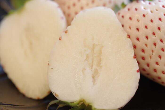 �ѡ���ۥ磻�Ȥ��������� ���Τ����������� ��8γ����15γ 2P�� ���ɸ���¾����