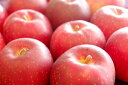 紅ロマンりんご取寄販売 岩手県オリジナルの浪漫りんごを通販で。約5kg 約14玉~約18玉 岩手県産