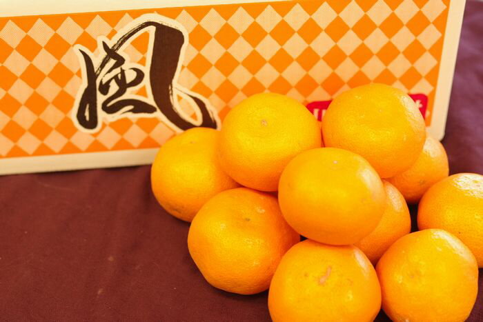 風みかん通信販売 愛媛県川上共選ブランドをお歳暮愛媛みかんに 糖度約12度 約5kg