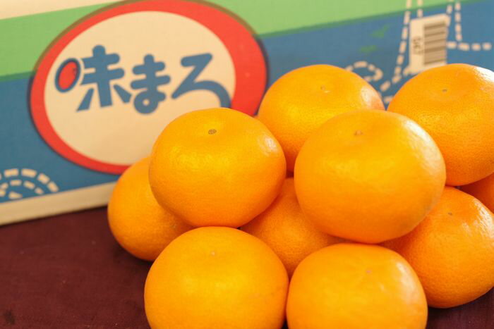 味まるみかん 長崎県西海産 糖度12度以上 5kg S〜Lのサムネイル